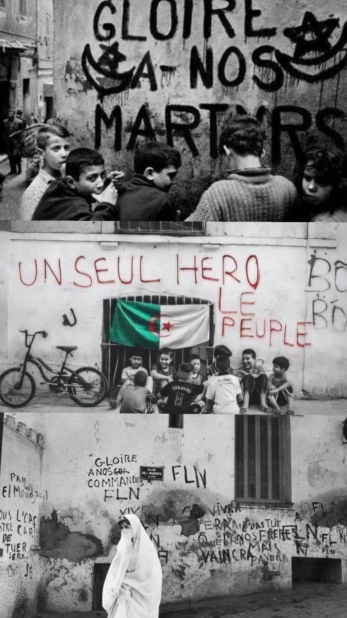 Alger — Là où la Méditerranée garde la mémoire
